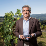 News from Consorzio Vino Chianti Classico