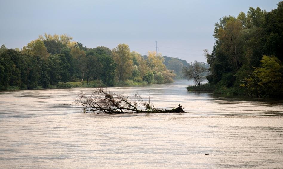 Spółki deweloperskie na plusie. Inwestorzy poszukiwali spółek mogących zyskać na powodzi