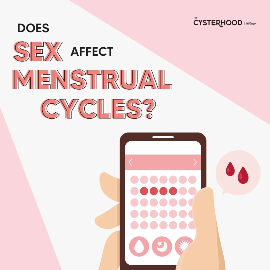 Does Sex Affect Menstrual Cycle