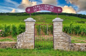 Clos de la Roche: A Burgundian grand cru for those in the know