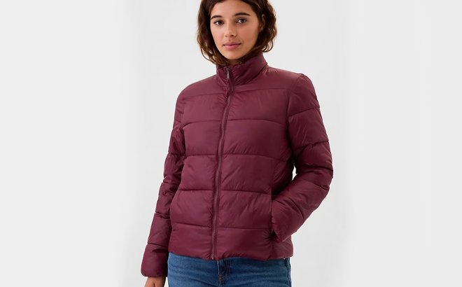 GAP Factory Puffer Jackets $25 Shipped (Puffer Vests $19)