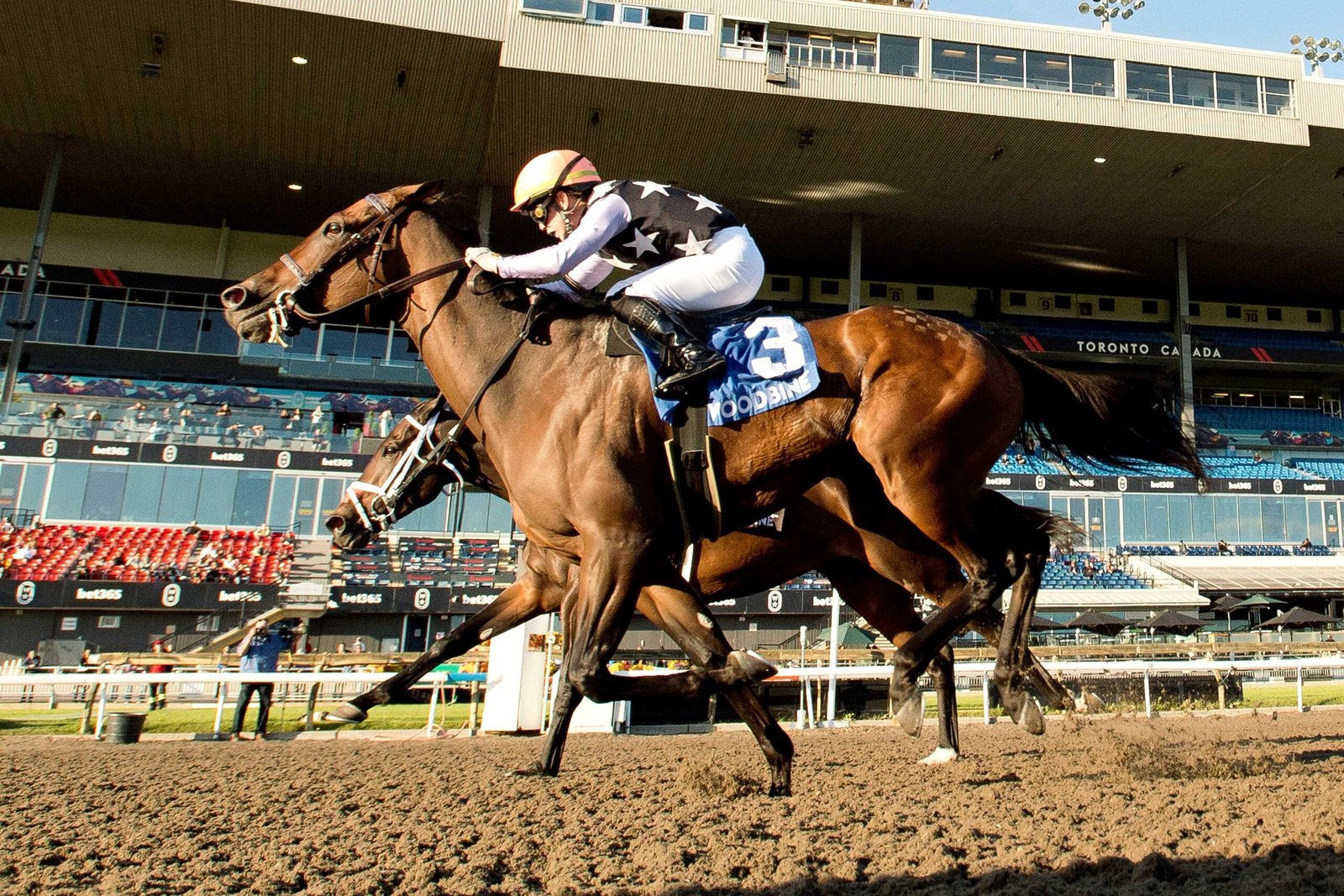 Top 3 Woodbine Weekend Highlights (October 12-13)