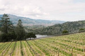 Napa’s new Crystal Springs AVA approved