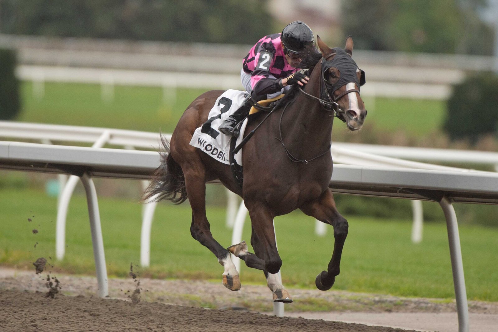 Thundering lowers the boom in Display