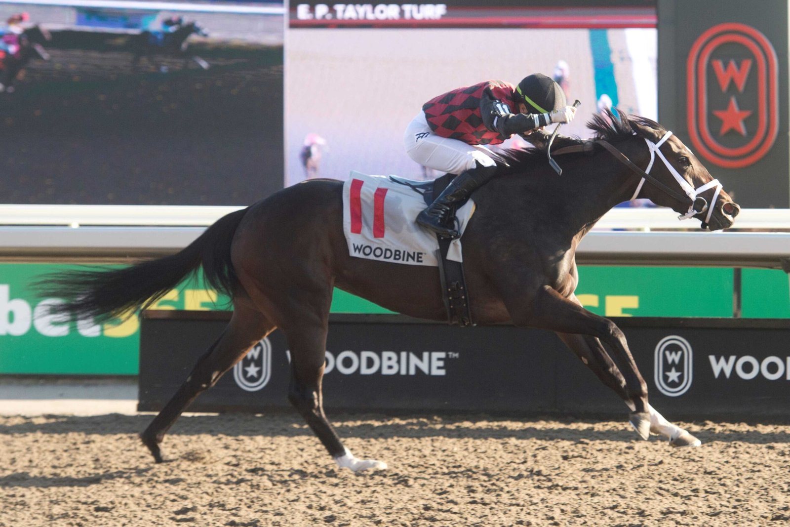 Supplemented sensation: Ecstasy, at 27-1, takes Ontario Damsel