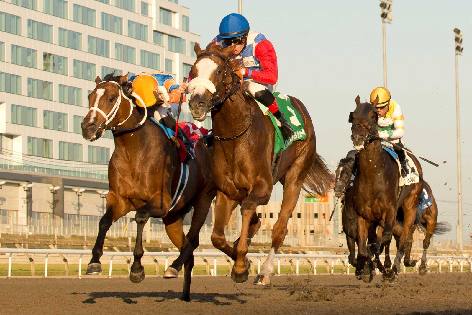 Dresden Row makes it two Grade 3 stakes in a row with Ontario Derby score