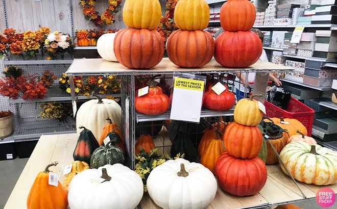 FREE $20 to spend on Fall Decor at Michaels! (New TCB Members)