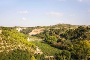 <div>Bodegas Izadi: A history of innovation, authenticity and commitment to Rioja’s whites</div>