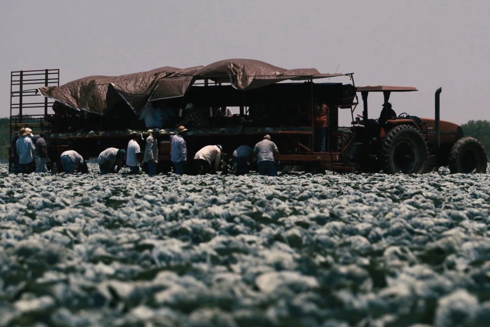 How a Proposed Federal Heat Rule Might Have Saved These Workers’ Lives