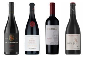 Award-winning wines to celebrate International Pinotage Day