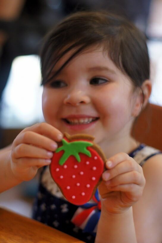 Strawberry Picking at Rocky Creek Farm, Main Ridge