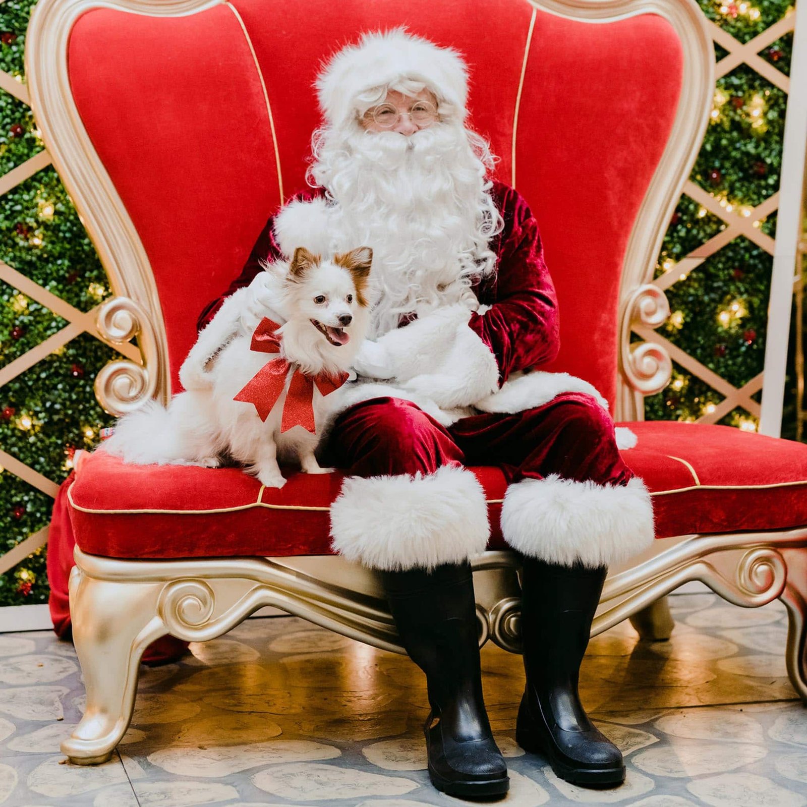 25 Best Places to Get Santa Photos Melbourne (2024)