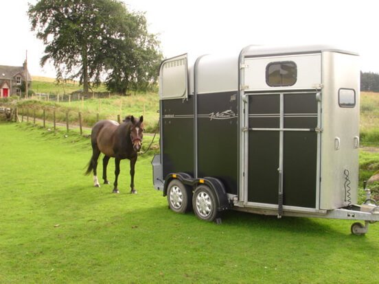 Can you tow a horse trailer on a car licence?