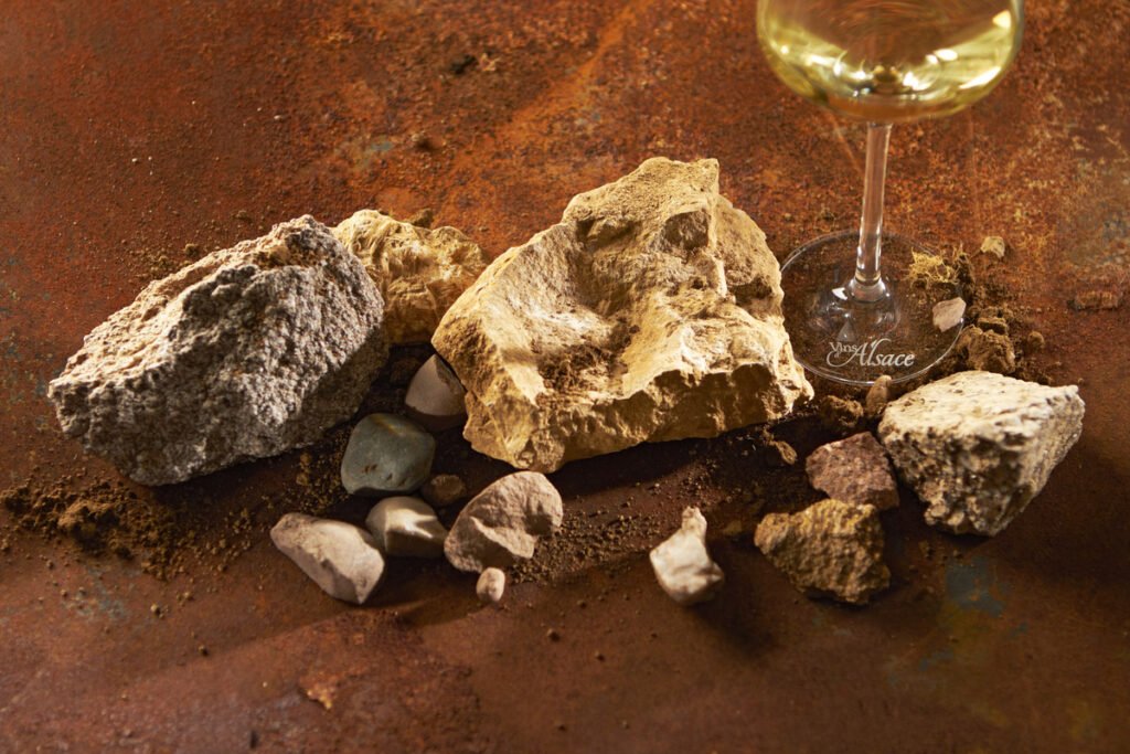 Unlocking the Secrets of Terroir: How DoesSoil Types Influence Wine Flavours?