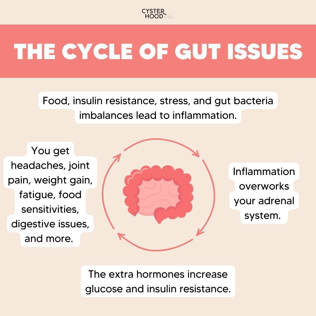 Gut Health and PCOS