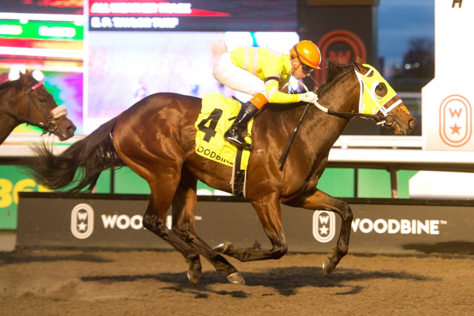 Mansetti rebounds, wins Clarendon for first stakes trophy