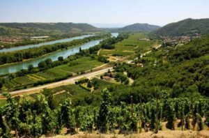 2023 Rhône Vintage Report on Decanter Premium