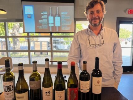 Grandes Pagos de España: Pioneering Innovation Through Single Vineyard Excellence