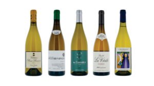 Languedoc whites: Panel tasting results