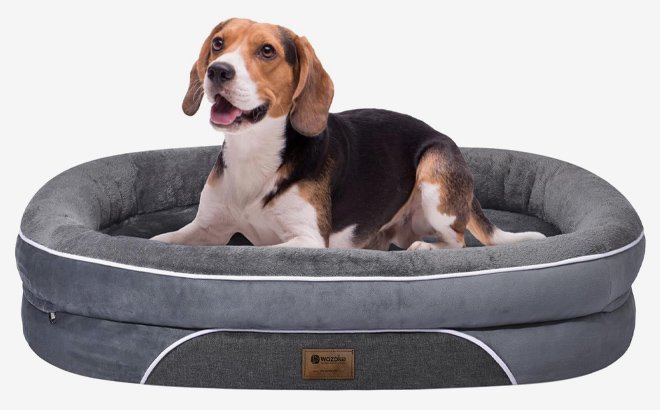 Large Orthopedic Dog Bed $19 Shipped at Amazon