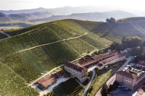 <div>Piedmont’s signature standouts: Exploring Nebbiolo and new horizons</div>