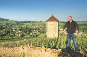 The weird and wonderful world of Jura wines