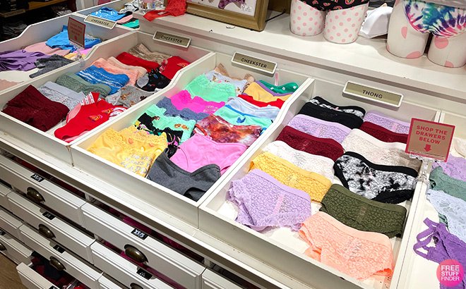 Victoria’s Secret PINK Panties 10 for $40 – Just $4 Each (Today Only!)