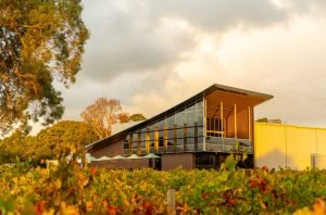 From hill and vale: A South Australian homage to Syrah and the Rhône