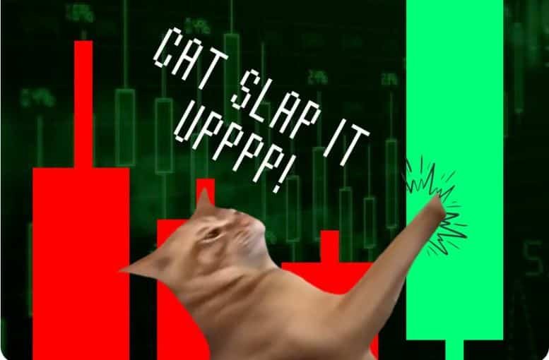 Jump Trading Firm Wallet Acquires $500K Of Cat Meme Coin Catslap Before ”Major Announcement” In 2 Days – Binance Listing Incoming? 