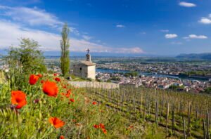 Hermitage 2023: Report and top-scoring wines