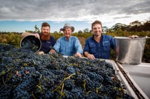 Jim Barry Wines: Keeping a Clare perspective