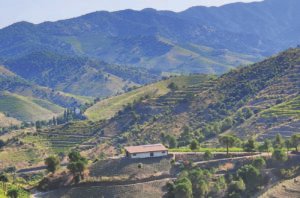 Priorat: An enthralling new wave arises