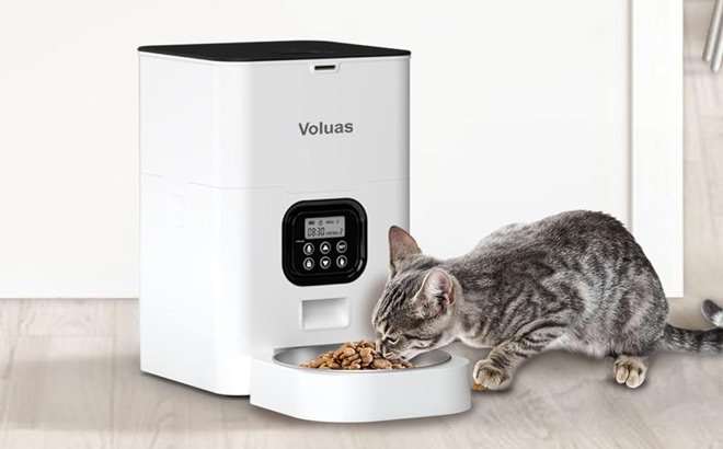 Automatic Cat Feeder $21 at Amazon