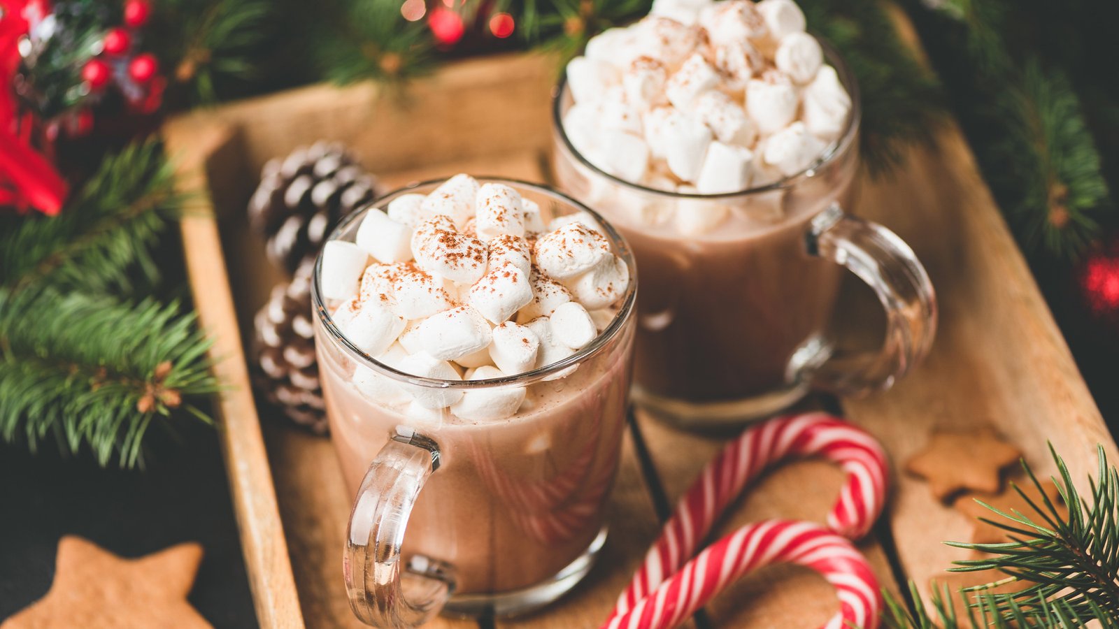 The Best Hot Chocolate Cocktails to Drink This Winter